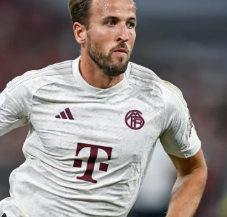 第11批国 第11批国